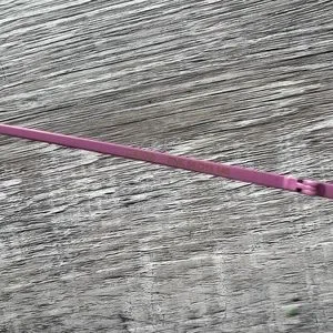 NWOT POPPY LISSIMAN GATOR SUNGLASSES - PINK Poppy Lissiman | Accessories | Nwot Poppy Lissiman Gator  main image 4
